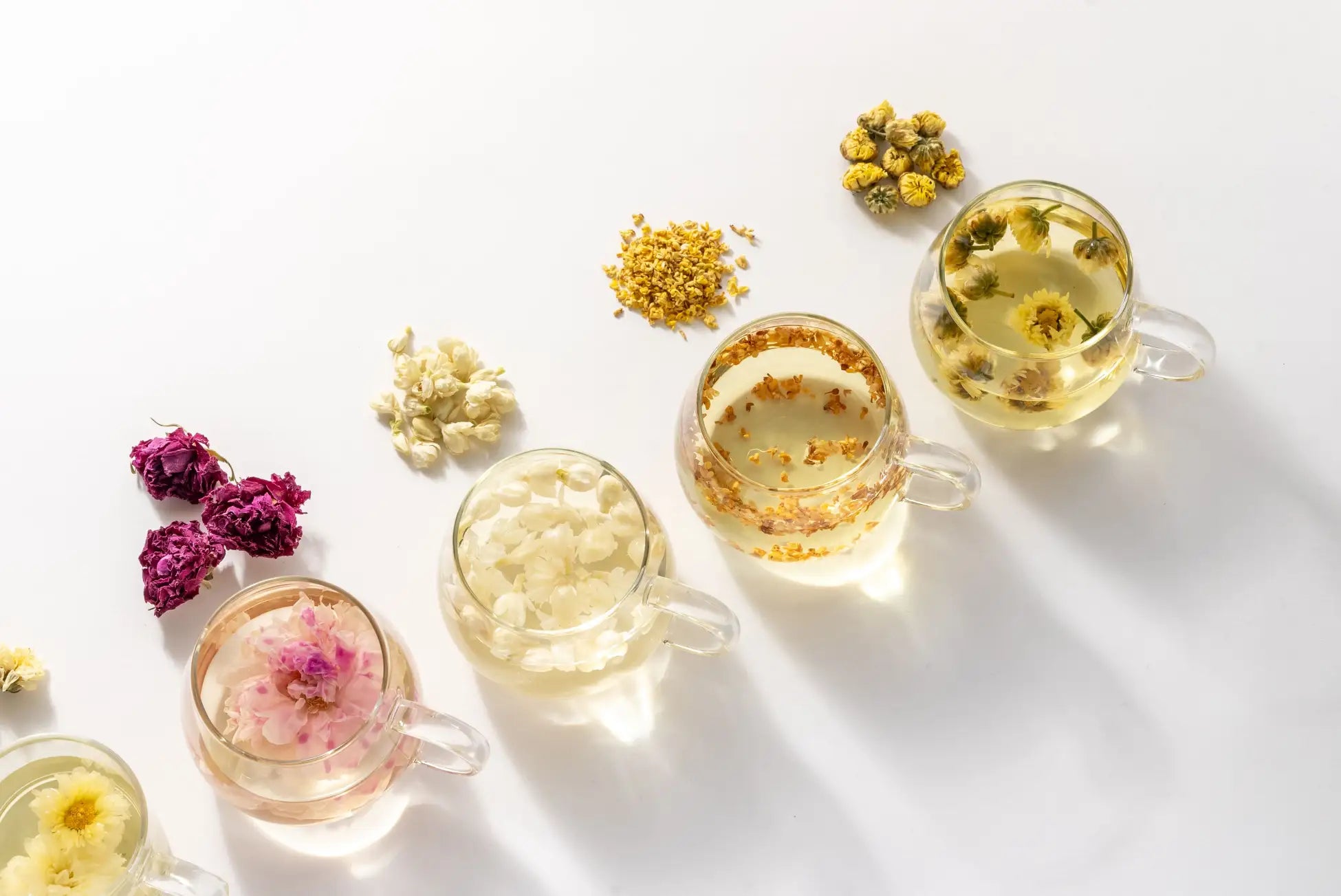 Various flower teas in glass cups with dried flowers on a white background.