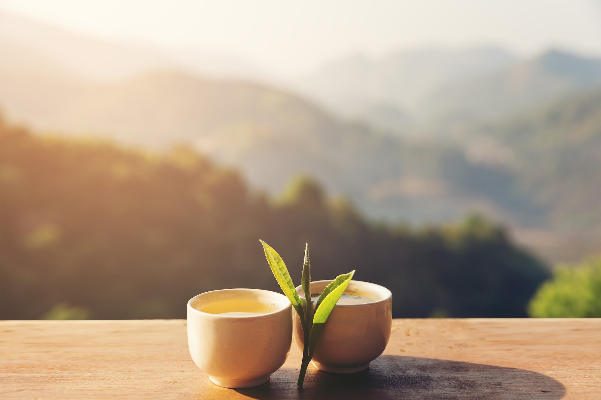 Two cups of freshly brewed Asian tea on a wooden table with a tea sprout in between, set against a scenic mountain backdrop, symbolizing the natural origins and tranquility of traditional Asian tea culture.