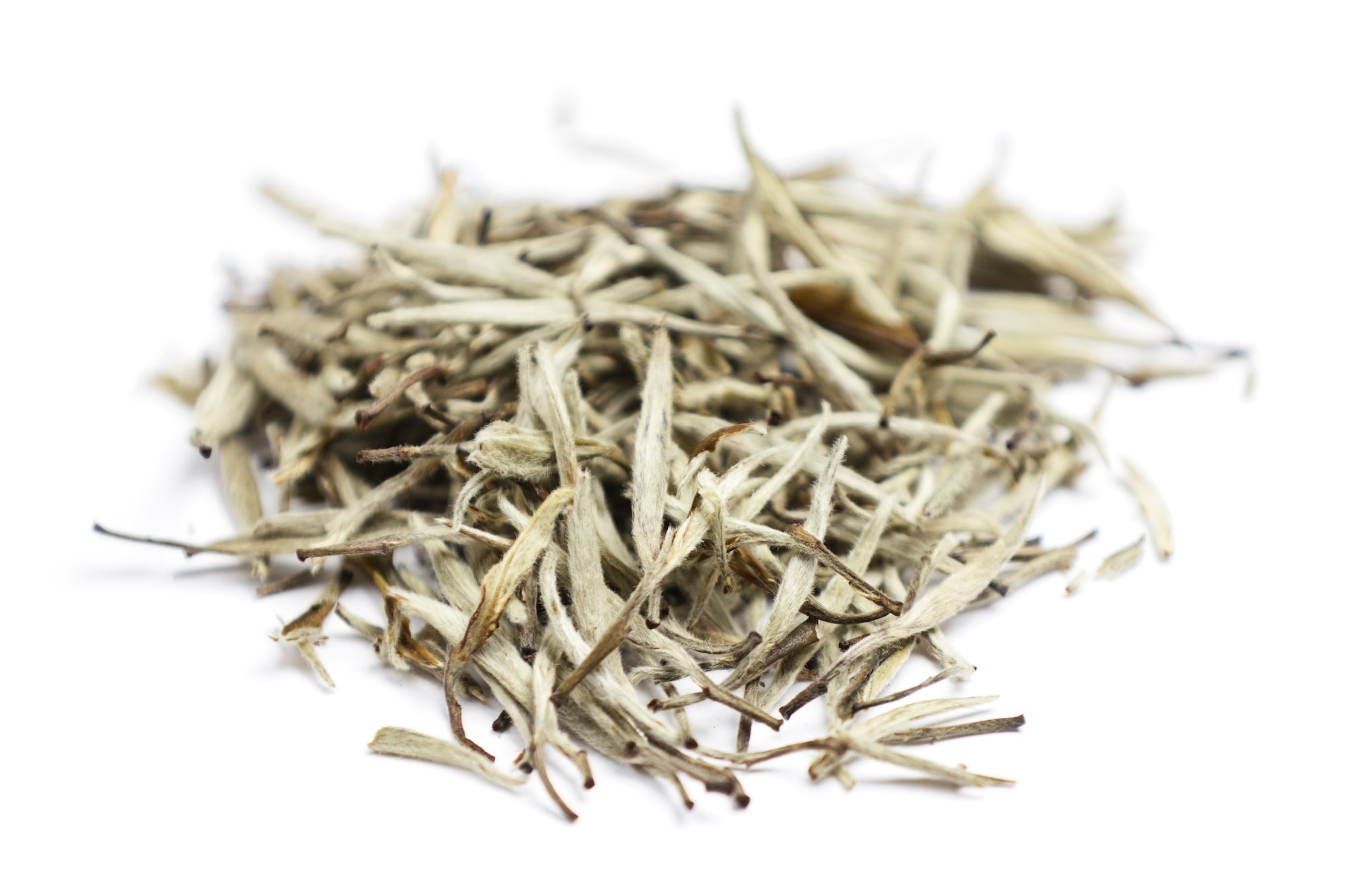 Loose white tea leaves (Silver Needle Bai Hao Yin Zhen) with fine silvery-white hairs, showcasing the delicate and minimally processed nature of premium white tea.