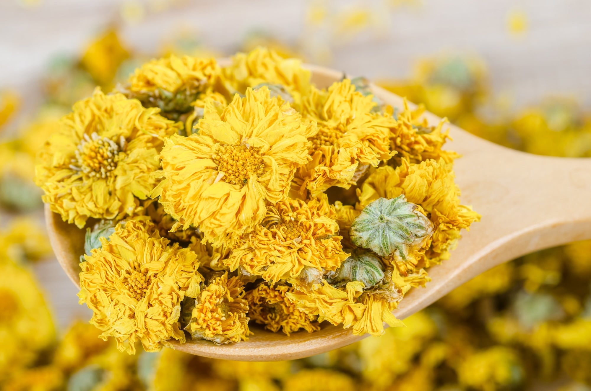 Close-up of dried yellow chrysanthemum flowers on a wooden spoon.